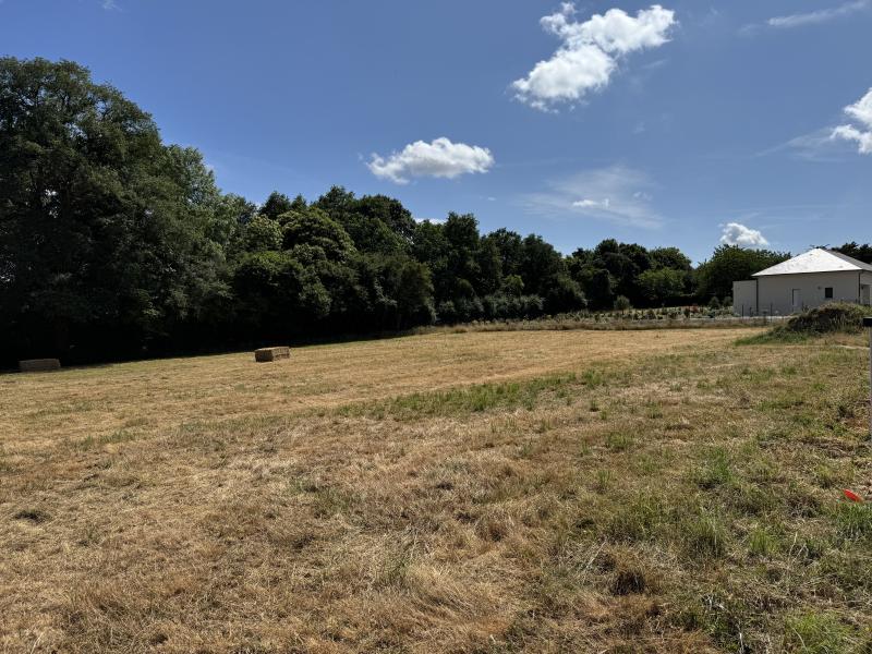 Terrain  à vendre Châteaubriant 44110