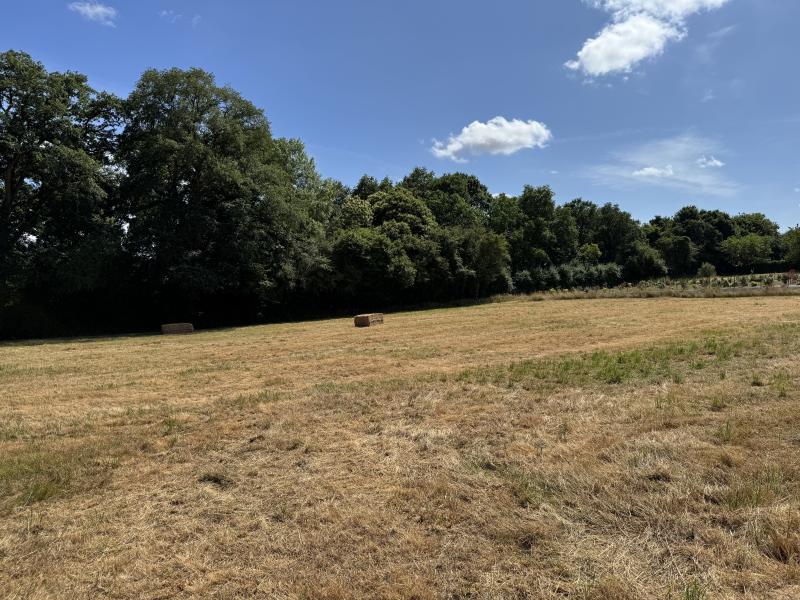 Terrain  à vendre Châteaubriant 44110