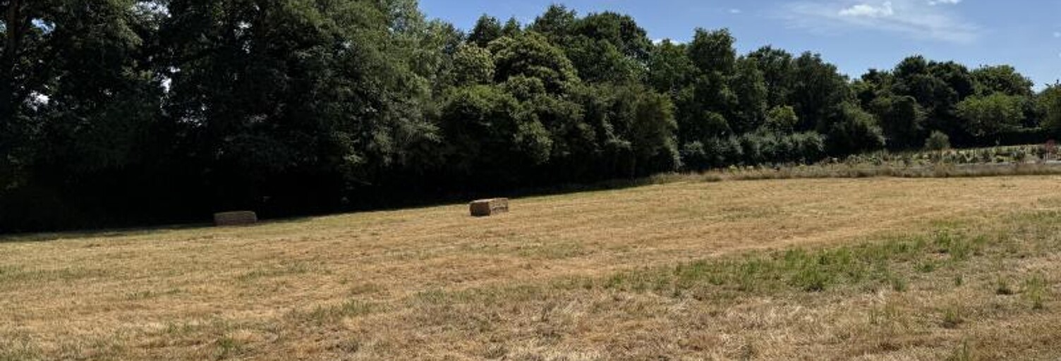 Terrain  908 m² à vendre à Châteaubriant (44110)