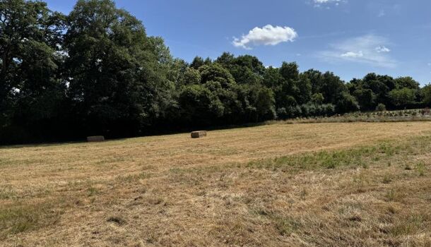 Terrain  à vendre Châteaubriant 44110