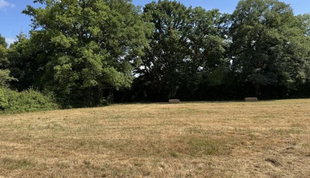 Terrain  à vendre Châteaubriant 44110