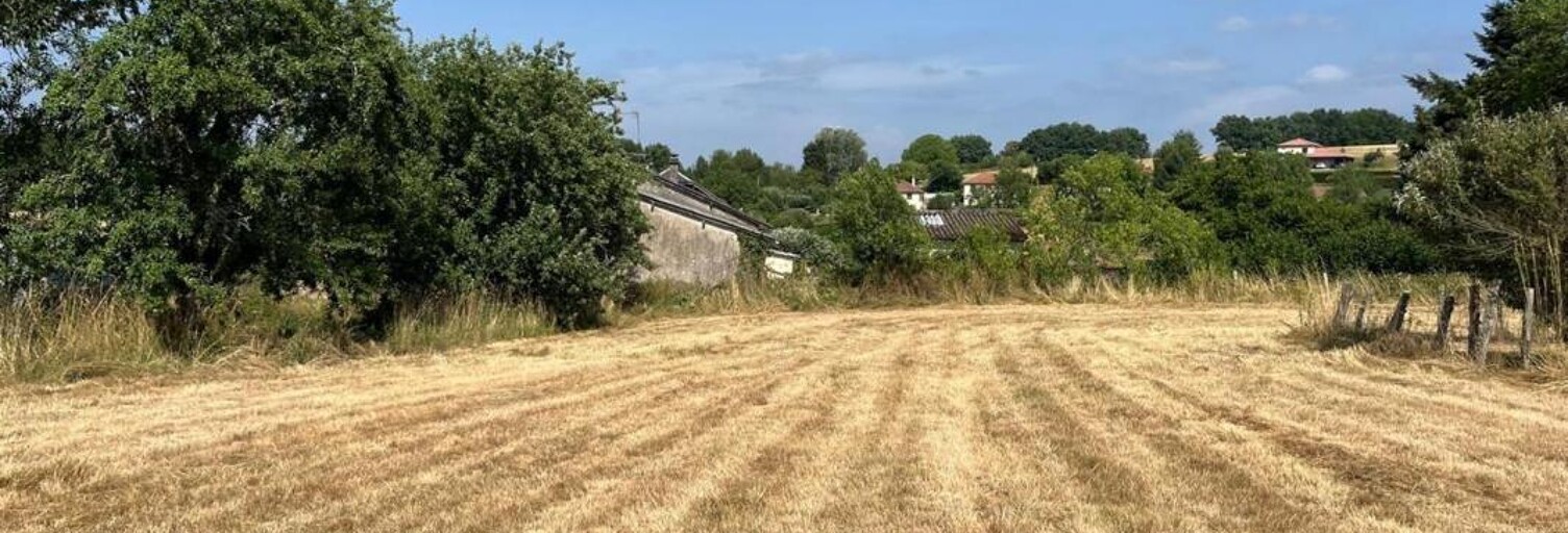 Terrain  2000 m² à vendre à Châteauneuf-la-Forêt (87130)