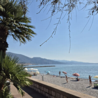 Appartement 2 pièces 315000 €