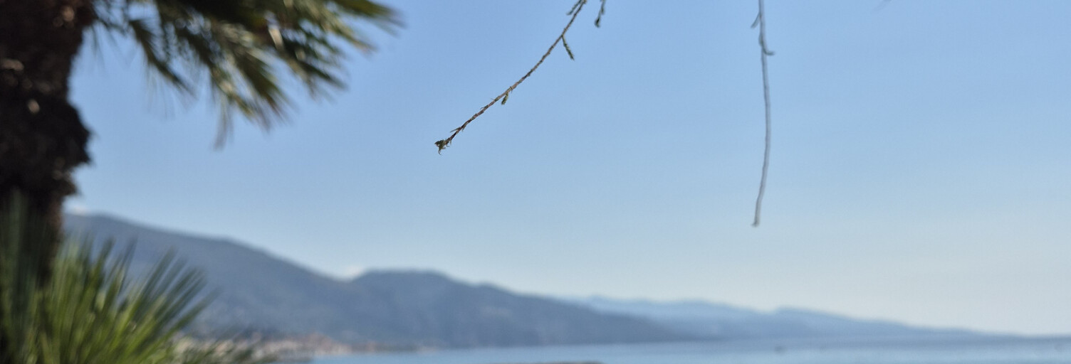 Appartement 2 Pièces 30 m² à vendre à Roquebrune-Cap-Martin (06190)