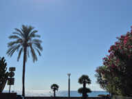 Roquebrune cap martin, 2 pièces 100% design,et rénové , terr — photo 4