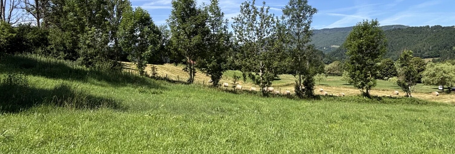 Terrain  1981 m² à vendre à Saint-Martin-en-Vercors (26420)