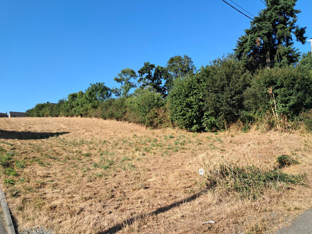Terrain proposé à Pléchâtel
