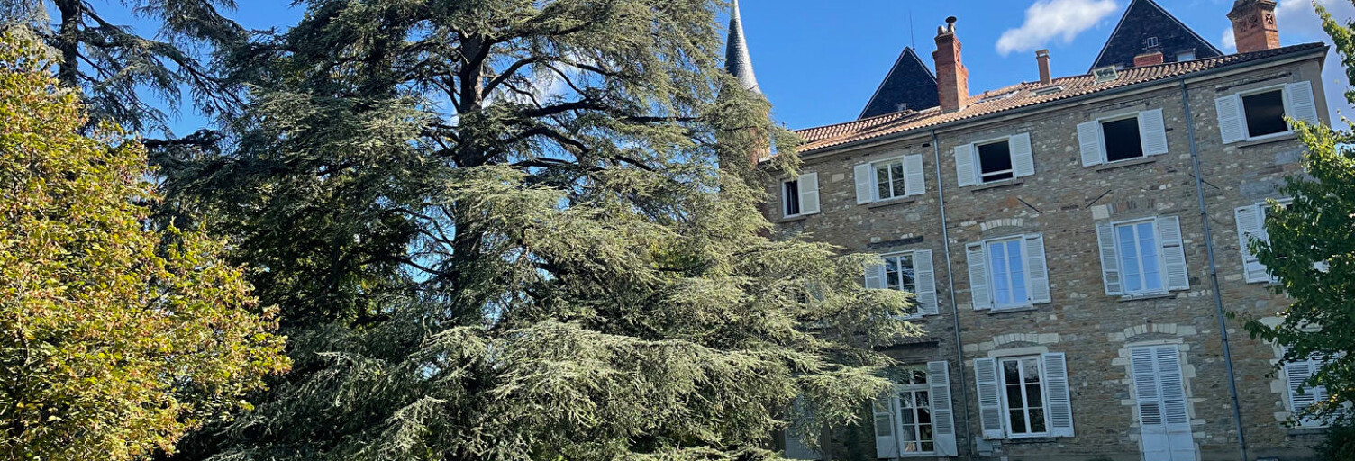 Maison 7 Pièces 231 m² à vendre à Chasselay (69380)