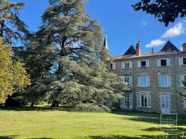 CHASSELAY - Maison Appartement 9 Pièces de 231 m² avec terrain privatif attenant — photo du bien
