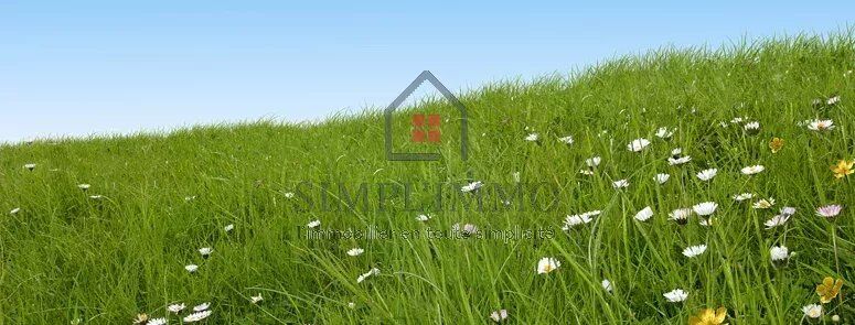 Terrain  à vendre Thénac 17460