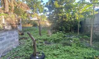 Terrain  553 m² à vendre à L'Étang-Salé (97427)