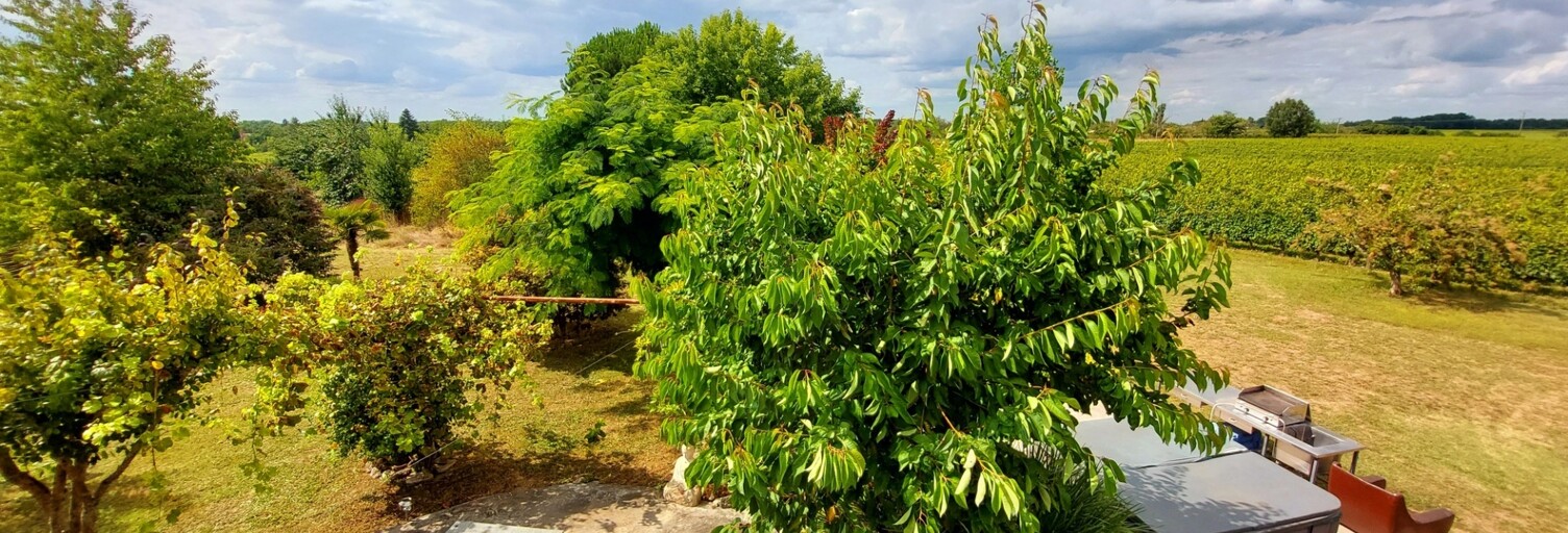 Maison 10 Pièces 430 m² à vendre à Bonneville-et-Saint-Avit-de-Fumadières (24230)