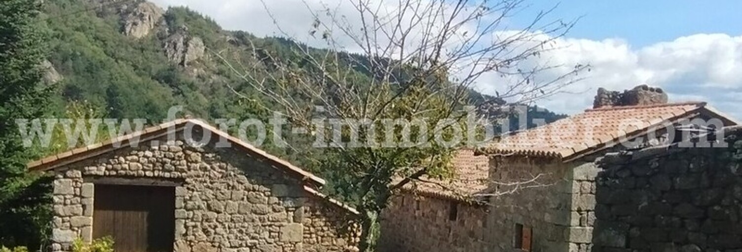 Maison  320 m² à vendre à Le Cheylard (07160)