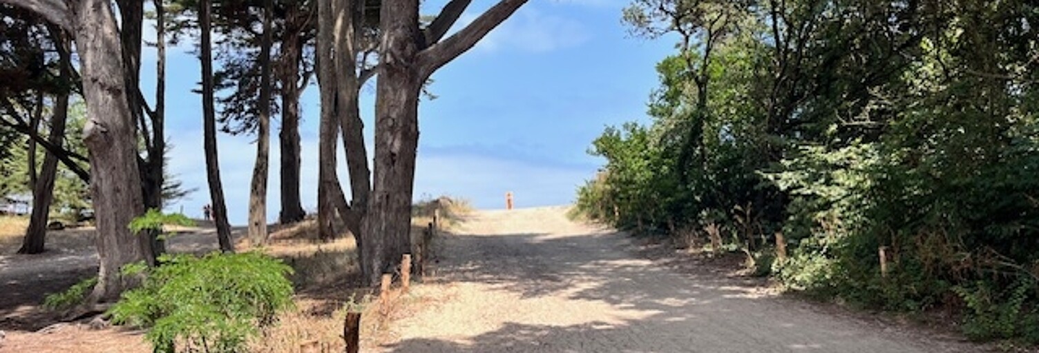 Maison 5 Pièces 110 m² à vendre à Noirmoutier-en-l'Île (85330)