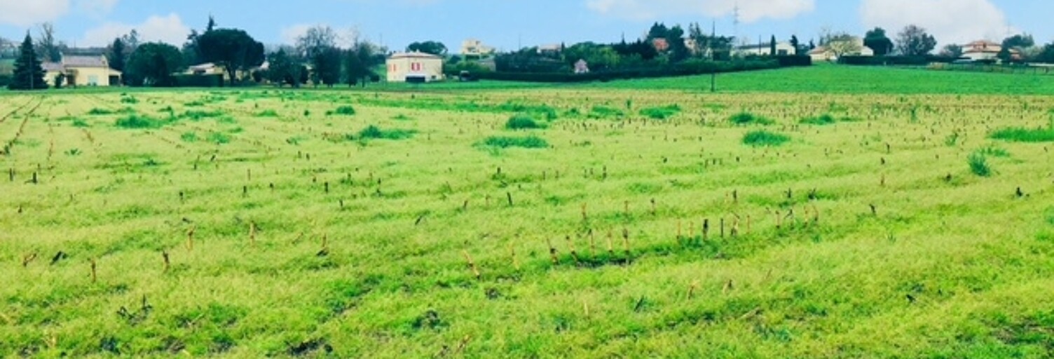 Terrain  13900 m² à vendre à Lagupie (47180)