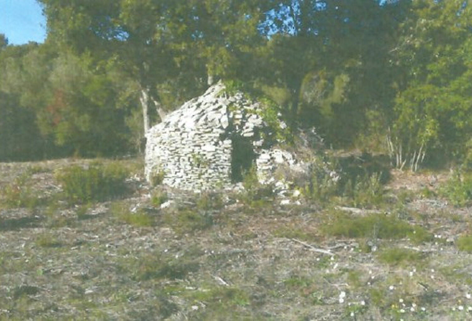 TERRAIN BONIFACIO 23 600 m2 - EXCLUSIVITE — photo 1