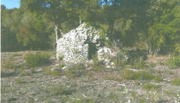Terrain  à vendre Bonifacio 20169