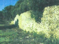 TERRAIN BONIFACIO 23 600 m2 - EXCLUSIVITE — photo 3