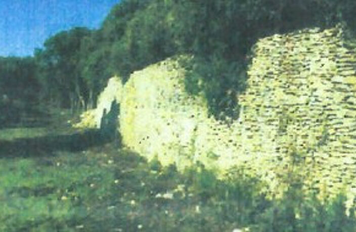 TERRAIN BONIFACIO 23 600 m2 - EXCLUSIVITE — photo 3
