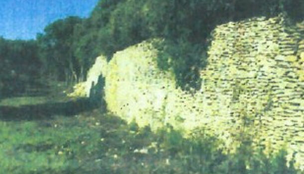 Terrain  à vendre Bonifacio 20169