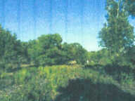 TERRAIN BONIFACIO 23 600 m2 - EXCLUSIVITE — photo 4