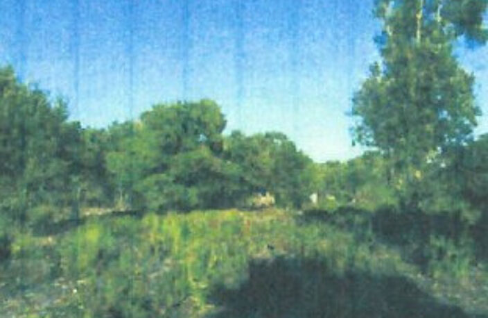 TERRAIN BONIFACIO 23 600 m2 - EXCLUSIVITE — photo 4