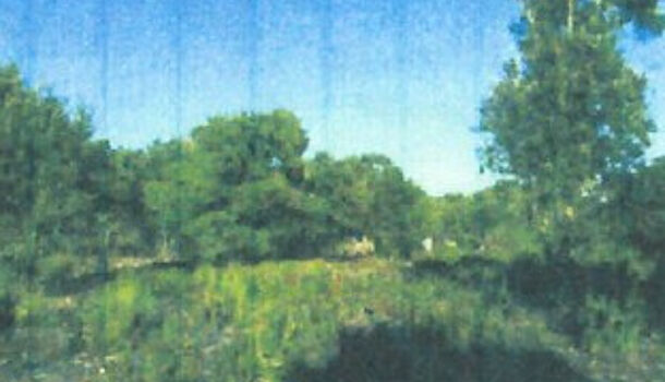 Terrain  à vendre Bonifacio 20169