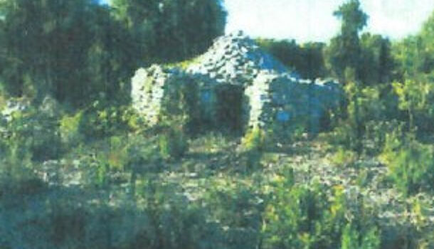 Terrain  à vendre Bonifacio 20169