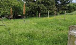 Terrain  1200 m² à vendre à Cheillé (37190)