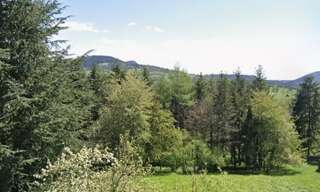 Terrain  2000 m² à vendre à Rosières (43800)