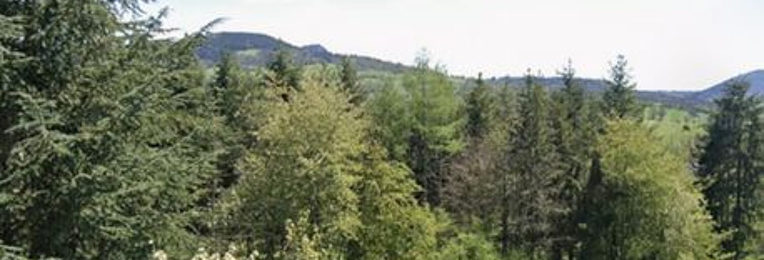 Terrain  2000 m² à vendre à Rosières (43800)