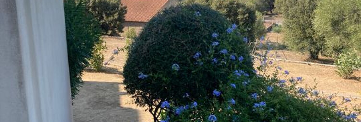 Appartement 3 Pièces 80 m² à louer à Monticello (20220)