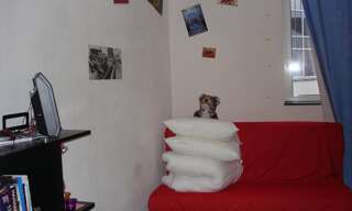 Appartement 1 Pièce 17 m² à louer à Nantes (44000)