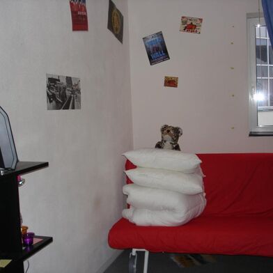 Appartement 1 pièces 480 €