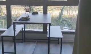 Appartement 1 Pièce 29 m² à louer à Massy (91300)
