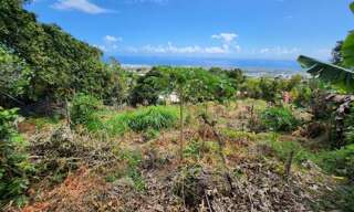 Terrain  1940 m² à vendre à Saint-Denis (97490)