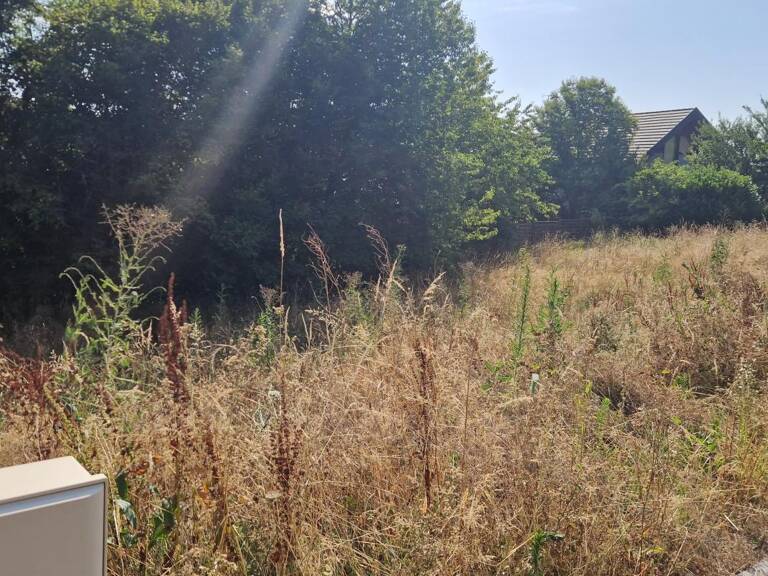 Terrain à vendre — photo 1