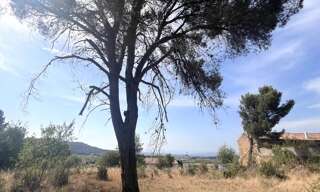 Terrain  4795 m² à vendre à Boutenac (11200)