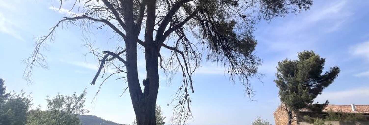 Terrain  4795 m² à vendre à Boutenac (11200)