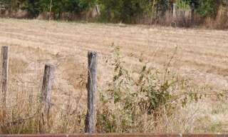 Terrain  1224 m² à vendre à Saint-Médard-de-Guizières (33230)