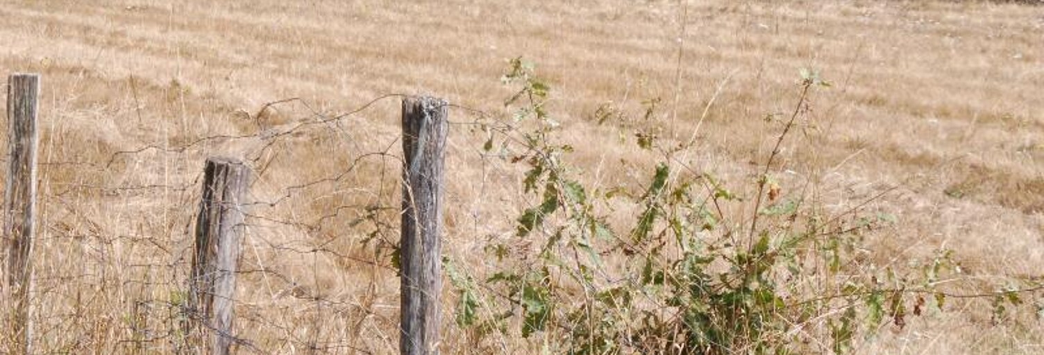 Terrain  1224 m² à vendre à Saint-Médard-de-Guizières (33230)