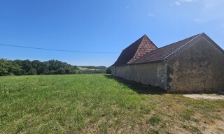 Photo N° 15