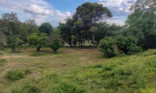 Terrain  1516 m² à vendre à Cruviers-Lascours (30360)