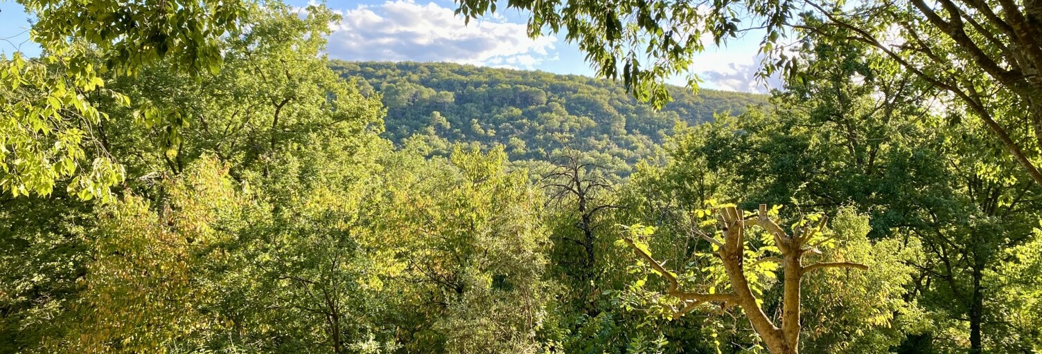 Maison 8 Pièces 204 m² à vendre à Artignosc-sur-Verdon (83630)