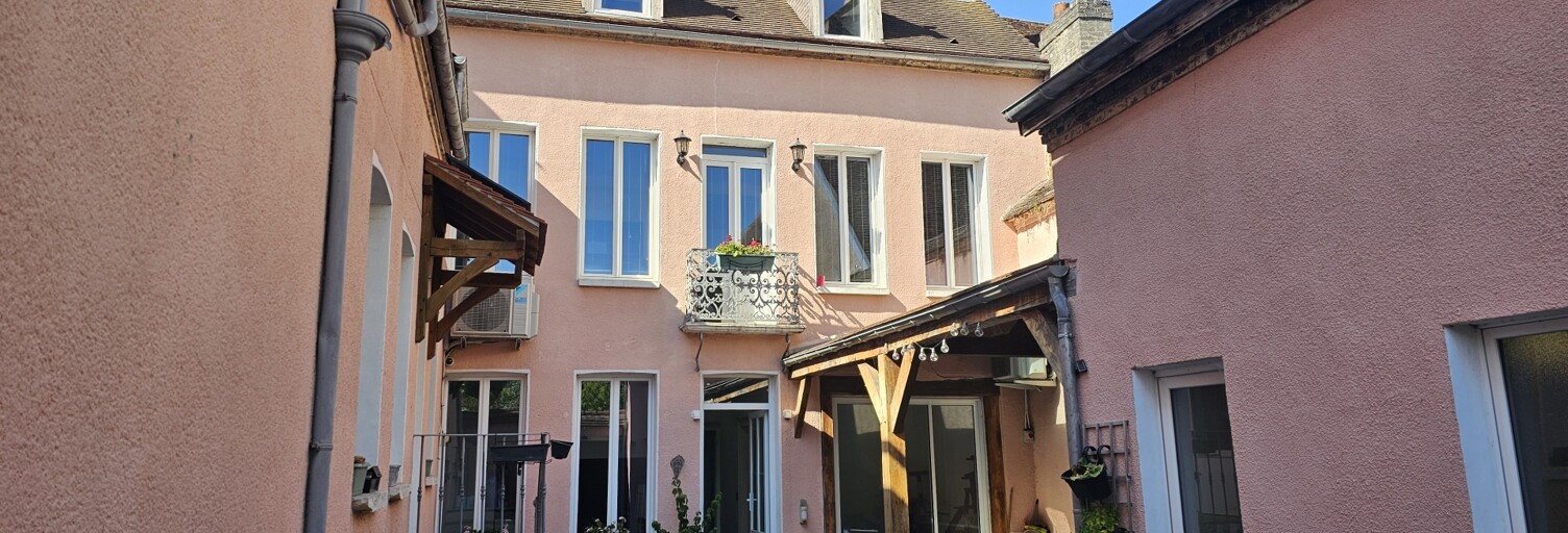 Maison 11 Pièces 259 m² à vendre à Villeneuve-l'Archevêque (89190)