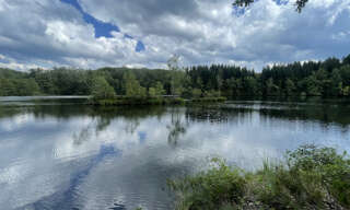 Terrain  35856 m² à vendre à Servance-Miellin (70440)