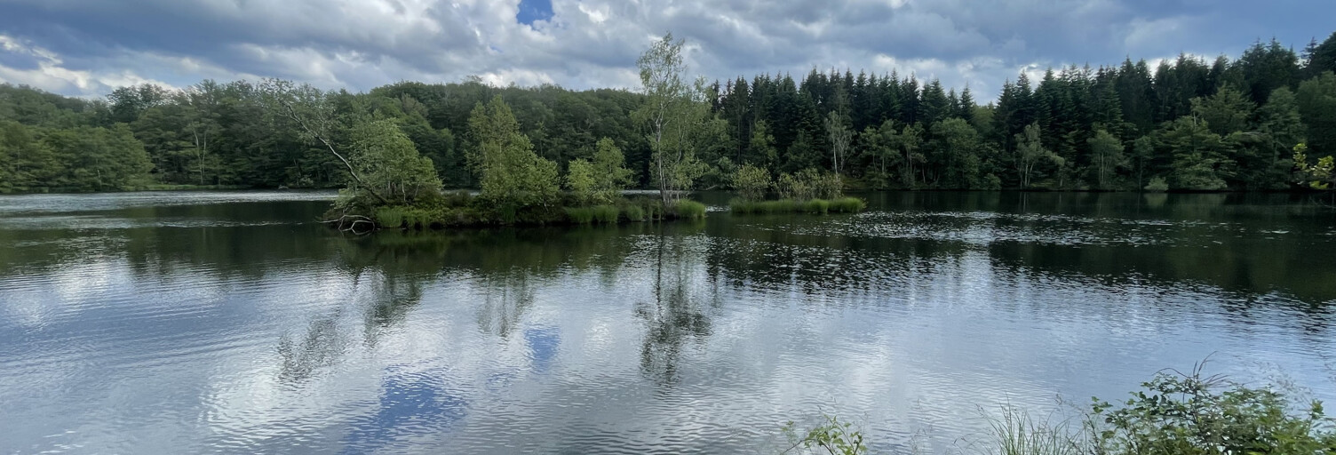 Terrain  35856 m² à vendre à Servance-Miellin (70440)