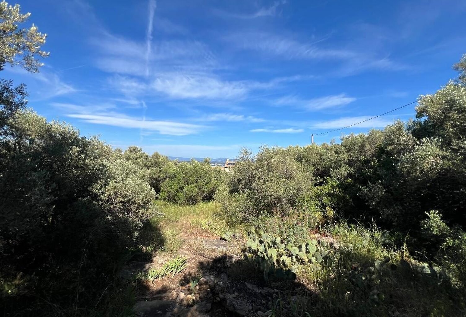 TERRAIN A BATIR LA CIOTAT — photo 1