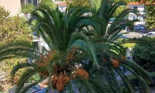 Appartement 4 Pièces 82 m² à louer à Fréjus (83600)