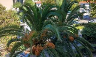 Appartement 4 Pièces 82 m² à louer à Fréjus (83600)